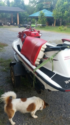 เพื่อนฝากขาย YAMAHA GP1200