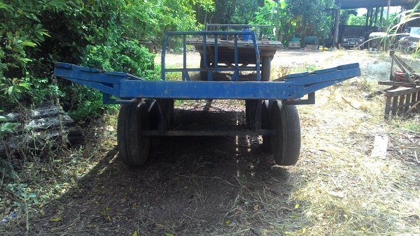 สารี่ข่นอะไรก็ครับล้อแฝด