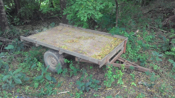 สารี่ครับ