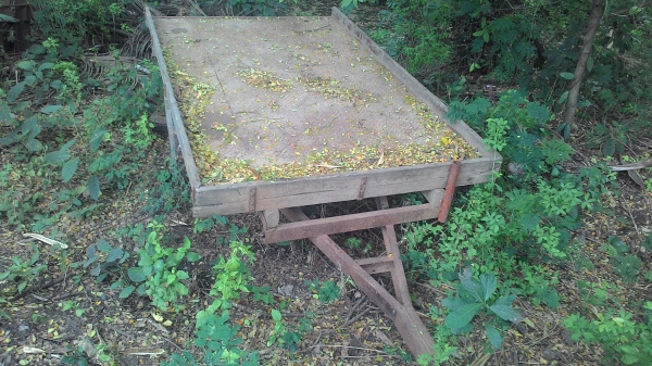 สารี่ครับ