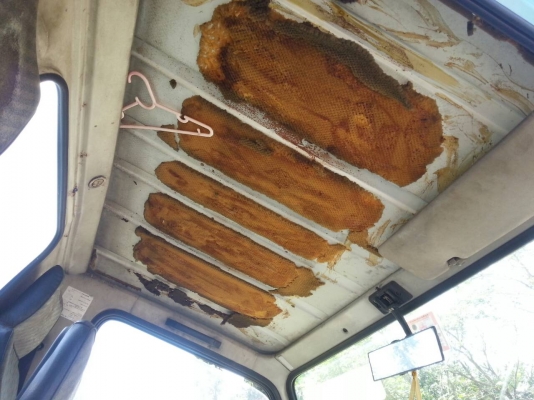 รถอีซูซุ 6 ล้อ รุ่น NKR จดทะเบียนปี 2537 มีภาพ วีดีโอ ให้ดูขนาดติดเครื่องยนต์