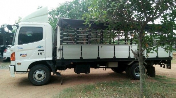 ขายรถ6ล้อ HINO MEGA ปี46 เครื่องดีแคชซีสวย ยาว5.50เมตร สภาพพร้อมใช้งาน เอกสารพร้อมโอน สนใจโทร 090-8588220คุณนะ 093-3258446คุณบิว หรือเข้าดูสินค้าอื่นๆได้ที่ www.truck.in.th/498 หรือเพจFacebook ณรงค์ ซื้อขายรถมือสอง (เว็บไซต์ส่วนตัว) หรือFacebook ตลาดรถมือ