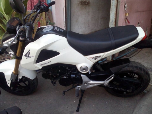 ขาย HONDA MSX 125 ปี 56 สภาพภายนอกดีเดิมๆ ไม่มีรอยล้ม เครื่องดีเดิมๆ เล่มพร้อมชุดโอน ภาษีขาดปลายปี 59