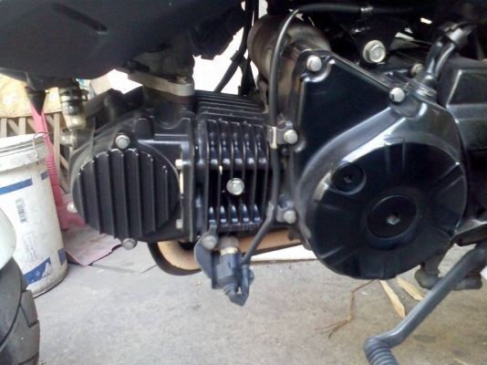 ขาย HONDA MSX 125 ปี 56 สภาพภายนอกดีเดิมๆ ไม่มีรอยล้ม เครื่องดีเดิมๆ เล่มพร้อมชุดโอน ภาษีขาดปลายปี 59