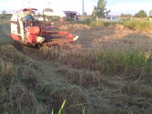 ขายรถเกี่ยวข้าว DC 68G