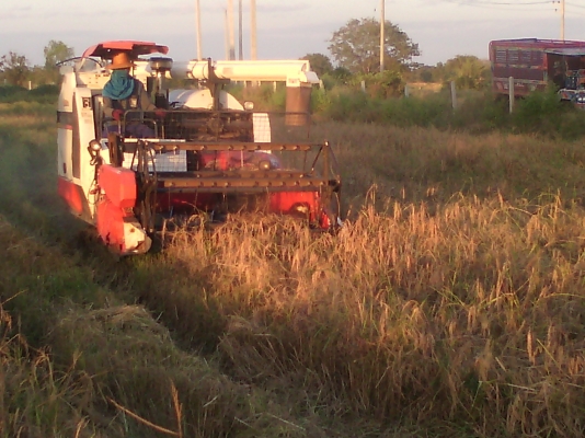 ขายรถเกี่ยวข้าว DC 68G