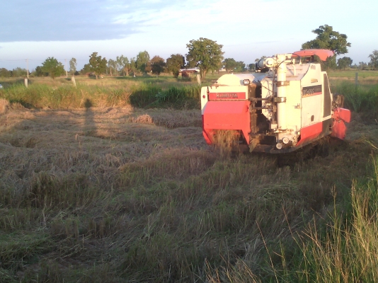 ขายรถเกี่ยวข้าว DC 68G