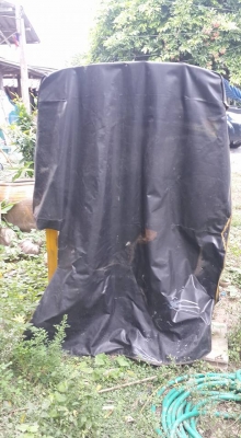 ขายรถตุ๊กตุ๊ก ขายรถตุ๊กตุ๊ก