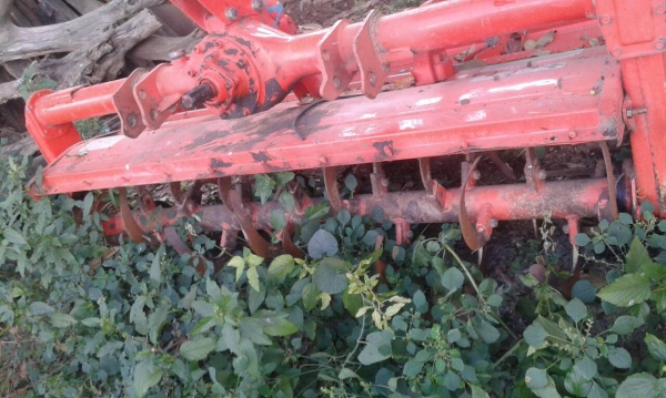 โรตรี่160เซ็นติเมตร