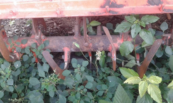 โรตรี่160เซ็นติเมตร