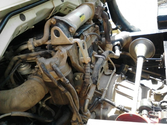 รถอีซุซุ 6 ล้อดั้ม NPR 150 แรงม้า ปี 52. ( รถวิ่ง 2xx,xxx กม. ) สนใจติดต่อ 081 - 6079515 รถอีซุซุ 6 ล้อดั้ม NPR 150 แรงม้า ปี 52. ( รถวิ่ง 2xx,xxx กม. ) สนใจติดต่อ 081 - 6079515