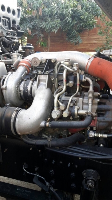 ขายครับ 320 ปี 50 ดั้มสามมิตรต่อใหม่ รับประกันความสด ขายครับ 320 ปี 50 ดั้มสามมิตรต่อใหม่ รับประกันความสด