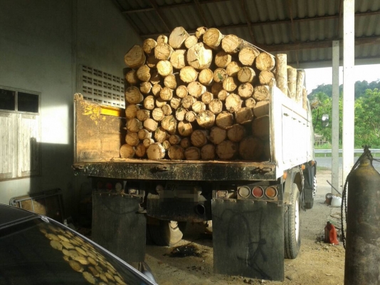 ขายสดหรือดาวน์...6ล้อดั้ม220แรง Hino. FG1JGPD-10349. รถห้างแท้เดิมๆ