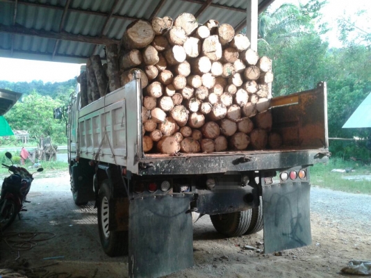 ขายสดหรือดาวน์...6ล้อดั้ม220แรง Hino. FG1JGPD-10349. รถห้างแท้เดิมๆ