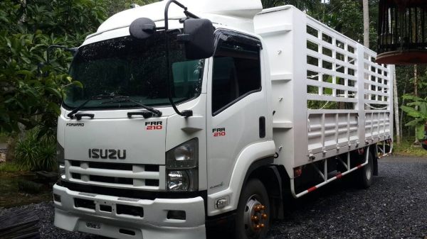 รถอีซูซุ 6 ล้อ FRR 210 แรงม้า  ปี 57.  ( รถวิ่ง 7x,xxx กม. )   สนใจติดต่อ  081 - 6079515