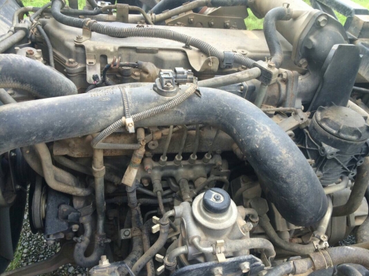 รถอีซูซุ 6 ล้อดั้ม FRR 210 แรงม้า  ปี 53.  ( รถวิ่ง 1xx,xxx กม. )     สนใจติดต่อ  081 - 6079515