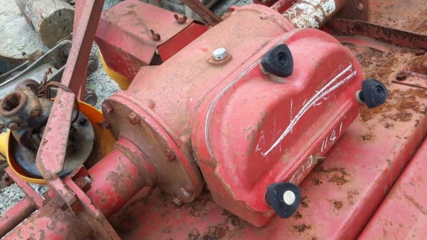 หางญี่ปุ่นสวยหนาใหญ่ยาว แท้ๆ