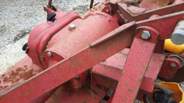 หางญี่ปุ่นสวยหนาใหญ่ยาว แท้ๆ