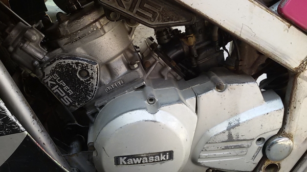Kawasaki  kr