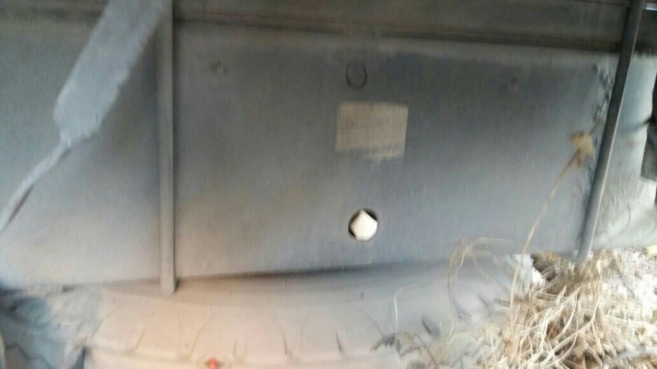 สิบล้อ ฮีโน่ FL3H 195เพาเดียว พื้นเรียน ยาว6.30ม สภาพดีเดิมๆพร้อมใช้ ทะเบียนพร้อมโอน สิบล้อ ฮีโน่ FL3H 195เพาเดียว พื้นเรียน ยาว6.30ม สภาพดีเดิมๆพร้อมใช้ ทะเบียนพร้อมโอน