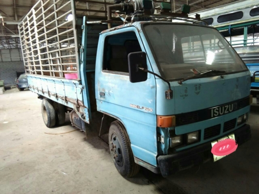 รถบรรทุกกระบะคาร์โก้ 6 ล้อ ยี่ห้ออีซูซุ รุ่น NKR