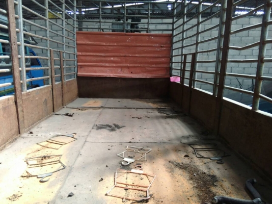 รถบรรทุกกระบะคาร์โก้ 6 ล้อ ยี่ห้ออีซูซุ รุ่น NKR