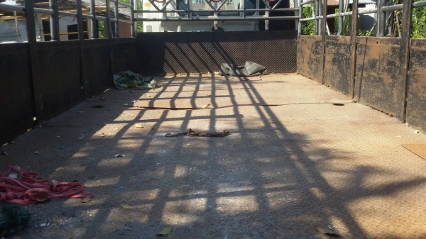 HINO-เมกก้า-ปี51-6ล้อ-ยาว5,70เมตร-ครัชซีสวยมาก-ใช้นัอย-มือ1ออกหัาง.เดืมบาง.ใช้น้อย.สภาพสวยพร้อมใช้...ราคา.725,000.... HINO-เมกก้า-ปี51-6ล้อ-ยาว5,70เมตร-ครัชซีสวยมาก-ใช้นัอย-มือ1ออกหัาง.เดืมบาง.ใช้น้อย.สภาพสวยพร้อมใช้...ราคา.725,000....