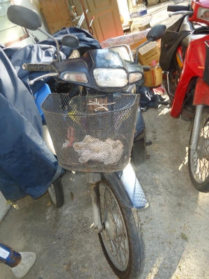 Kawasaki cheer ปี 43