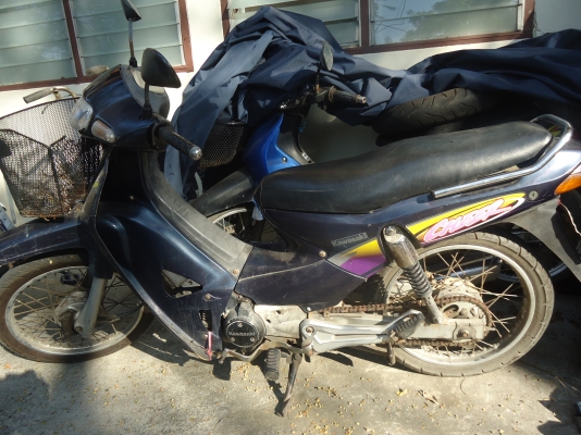 Kawasaki cheer ปี 43