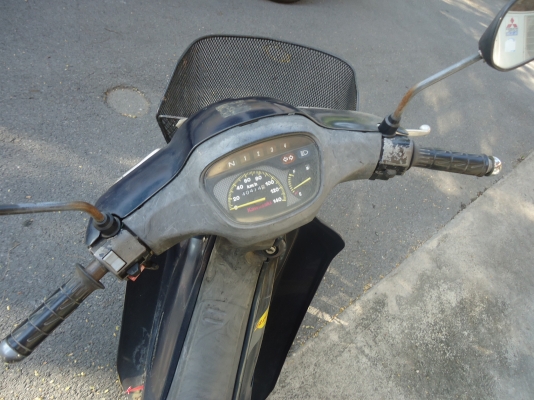 Kawasaki cheer ปี 43