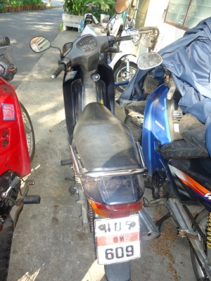 Kawasaki cheer ปี 43