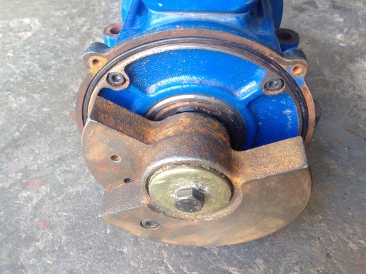 ขายมอเตอร์เขย่า-สั่น WAM 1/2HP. 380V made in Germany สภาพสวยวิ่งนิ่ม สั่นแรง พร้อมใช้งาน(ไม่มีฝาครอบลูกเหวี่ยงครับ) ขายมอเตอร์เขย่า-สั่น WAM 1/2HP. 380V made in Germany สภาพสวยวิ่งนิ่ม สั่นแรง พร้อมใช้งาน(ไม่มีฝาครอบลูกเหวี่ยงครับ)