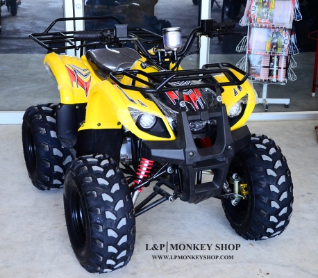 เอทีวี MINI BEAR 110 125 CC แรงจัด ขับขี่ง่าย  คล่องตัว มาตฐานส่งออก มีบริการหลังการขาย รับประกัน 1ปี