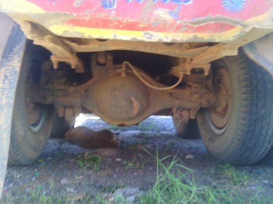 รถ10ล้อดั้ม อิซูสุร็อคกี้ 175แรงม้า 2เพลา แอร์เย็น ยางใหม่10เส้น ช่วงล่างแน่น เครื่องไม่เหยิ้ม สภาพพร้อมใช้งาน