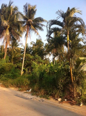 ขายที่ดินในซอยพระราม 2 ที่ 44 เนื้อที่ 3 ไร่กว่า แบ่งครึ่งขายได้