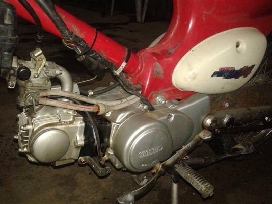 ขายหรือแลก Honda Little Cup50 ช่วงหน้า MD เก่าญี่ปุ่นสวยๆ 9500 บาทครับ
