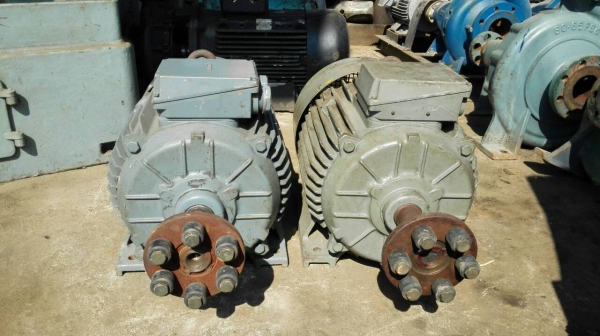 Sell> ขายมอเตอร์ Elektrim 15 แรงม้า 380 V. มอเตอร์เงียบ เดินนิ่ม ทุ่นเดิมๆ สวยครับ Sell> ขายมอเตอร์ Elektrim 15 แรงม้า 380 V. มอเตอร์เงียบ เดินนิ่ม ทุ่นเดิมๆ สวยครับ