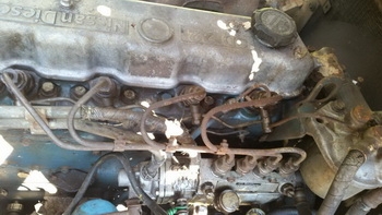 sale!! ต้อนรับปีใหม่ 2559 รถโฟคลิฟท์ รถยก 2 ตัน ดีเชล NISSAN: SD22 ราคาไม่ถึงแสน sale!! ต้อนรับปีใหม่ 2559 รถโฟคลิฟท์ รถยก 2 ตัน ดีเชล NISSAN: SD22 ราคาไม่ถึงแสน