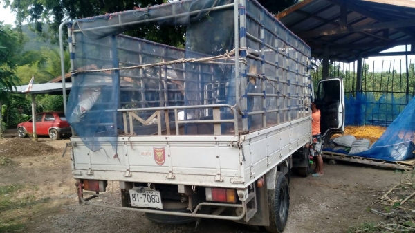 ขาย Isuzu NPR 150 ขาย Isuzu NPR 150