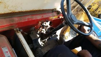 ขาย รถบรรทุกล้อยาง เพื่อการเกษตรเอนกประสงค์ KAWASHIMA ขับเคลื่อน 4 ล้อ 2 เพลา เครื่องเบนชิน KUBOTA ยกดั้มได้ ขาย รถบรรทุกล้อยาง เพื่อการเกษตรเอนกประสงค์ KAWASHIMA ขับเคลื่อน 4 ล้อ 2 เพลา เครื่องเบนชิน KUBOTA ยกดั้มได้