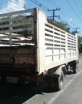 หกล้อ ฮีโน่ FC9J145ปี51ซีรี500 ช่วงยาว6ม. สภาพดีสวยบางเดิมพร้อมใช้งาน ไม่เคยชน ทะเบียนพร้อมโอน