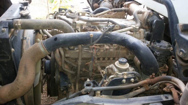 รถอีซูซุ 6 ล้อดั้ม FRR 190 แรงม้า  ปี 55.  ( รถวิ่ง 15x,xxx กม. )     สนใจติดต่อ  081 - 6079515