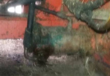 **420,000 บ.ต่อรอง/// รถเกี่ยวนวดข้าว แบบอุ้ม ศักดิ์พัฒนาฯ บิ๊ก37 อุ้ม2.5ตัน ตัวเดิน12HT พร้อมใช้งาน **ขาย ศักดิ์พัฒนาการเกษตร บิ๊ก37 รถเกี่ยวนวดข้าวแบบอุ้ม 2.5ตัน(อุ้มแปลง) ช่วงล่างใหญ่ สภาพดี พร้อมใช้งาน ราคาเบา ศักดิ์พัฒนาฯ รุ่น บิ๊ก37 อุ้ม2.5ตัน(อุ้มแ