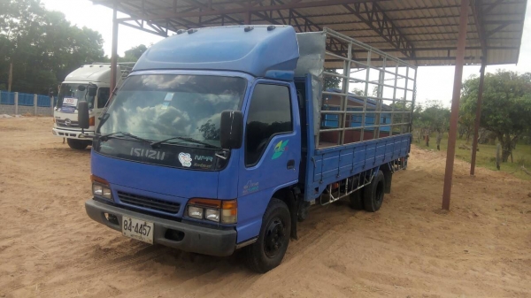 ขาย NPR130 ปี46 ยาว5เมตร คัสซีสวย