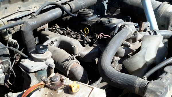 ขายรถปิ๊กอัพนิสสัน รถขับได้ ขายตามสภา ทะเบียนขาด1ปี ขายรถปิ๊กอัพนิสสัน รถขับได้ ขายตามสภา ทะเบียนขาด1ปี