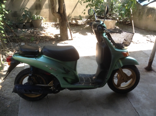 ขายรถป๊อป Honda 50 cc.