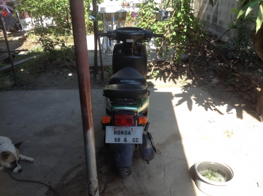 ขายรถป๊อป Honda 50 cc.