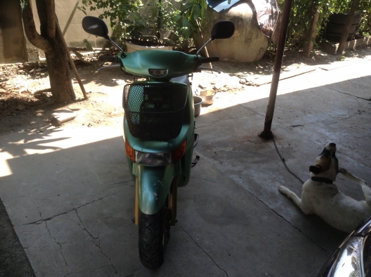 ขายรถป๊อป Honda 50 cc.