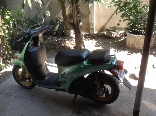 ขายรถป๊อป Honda 50 cc.