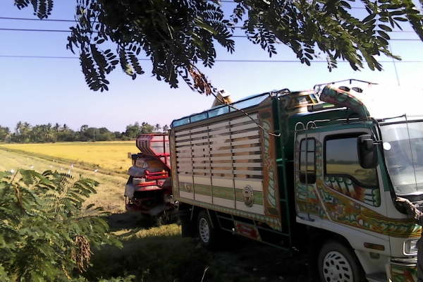 ขาย6ล้อเด๊กก้าFRRประกอบเครื่อง6HE195ดั้มข้าวเปลือกกระบะปิเนียมยาว5เมตรสภาพพร้อมใช้